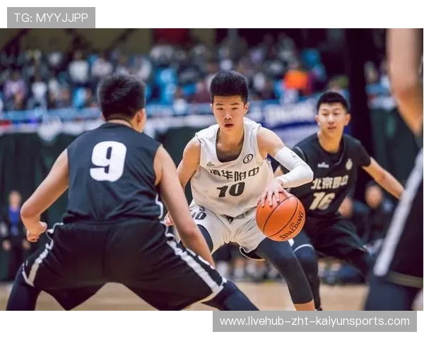 中国篮球青训体系的长期追踪机制构建研究,中国篮球青训现状 中国篮球青训体系的长期追踪机制构建研究,中国篮球青训现状